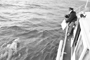 Antonio Arguelles - English Channel