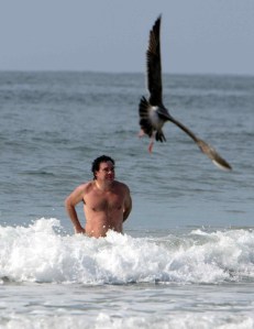 Antonio Arguelles - The Cove 1