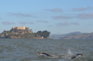 The beauty of an OW swim